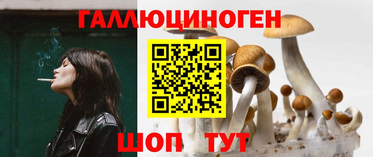 Псилоцибиновые грибы Cubensis Кузнецк