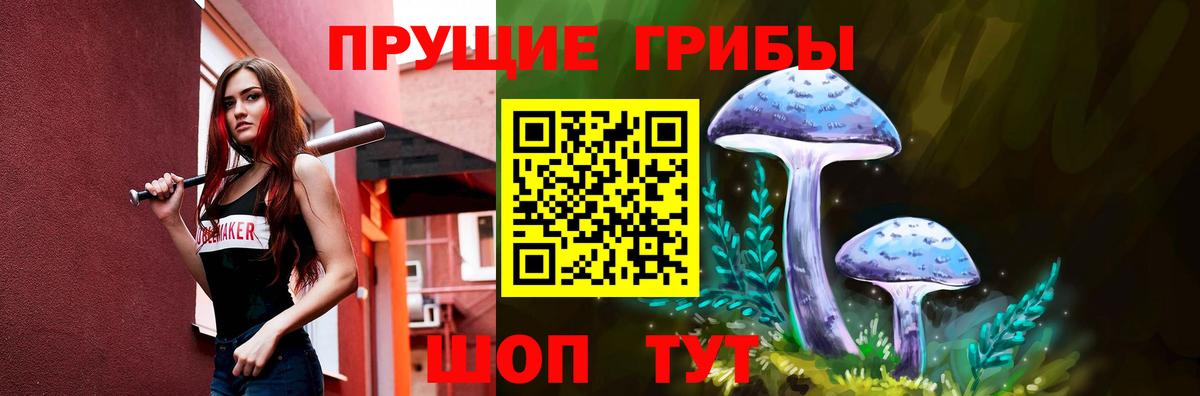 Псилоцибиновые грибы Psilocybine cubensis  Вход с VPN  Кузнецк 